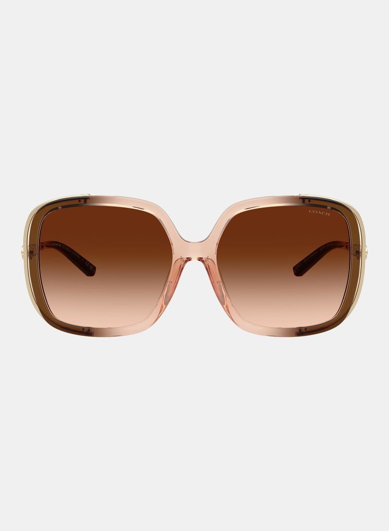 كوتش نظارة شمسية بإطار كامل مربع 8423U, 56, 5769, 74 - Image 1